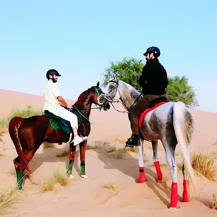 Two riders on Arabian horses enjoying a desert horseback riding experience at Al Jazeerah Equestrian Club.