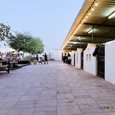 Evening view of well-lit horse stables at Al Jazeerah Equestrian Club with horses looking out from their stalls.