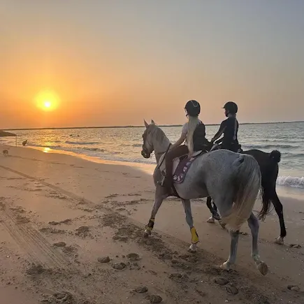 Two riders on horseback enjoy a scenic sunset beach ride along the coast of Ras Al Khaimah, part of Al Jazeerah Equestrian Club’s family-friendly horse riding experiences near Dubai.